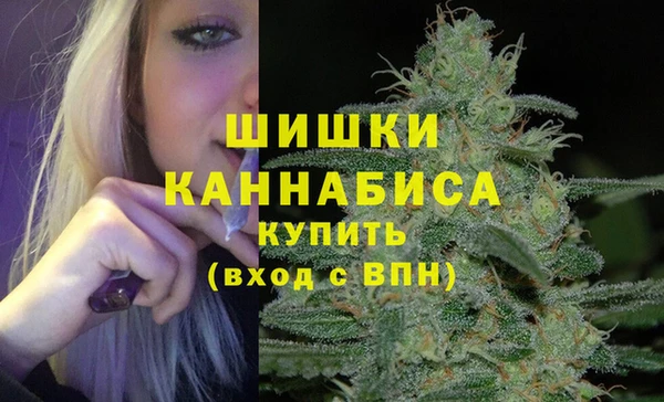 альфа пвп Дмитровск