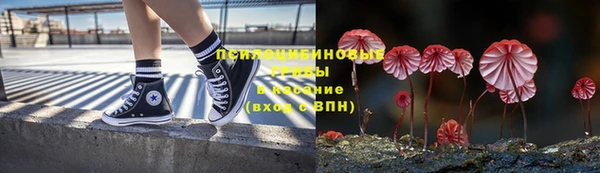 твердый Дмитриев