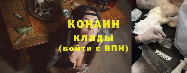 твердый Дмитриев