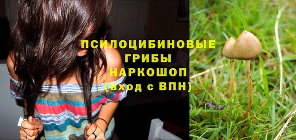 альфа пвп Дмитровск