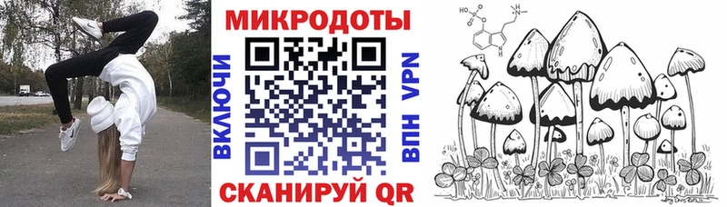Галлюциногенные грибы мухоморы  наркота  Звенигово 